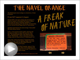 History of Navel Orange